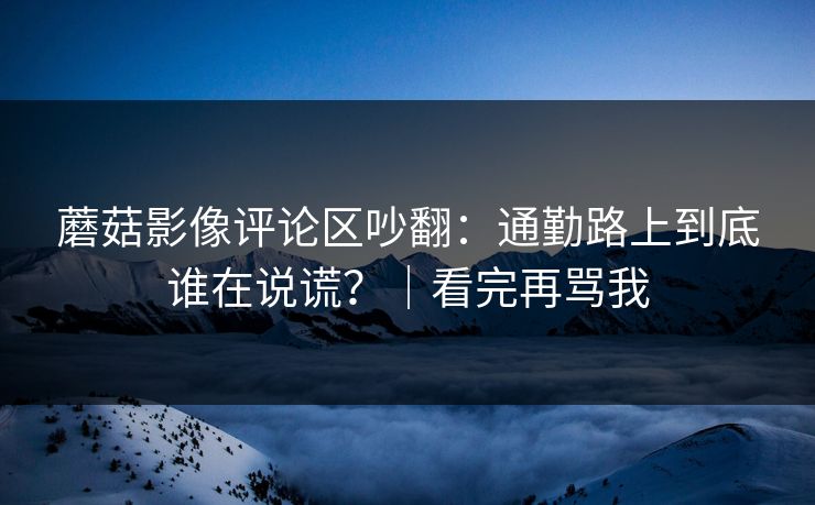 蘑菇影像评论区吵翻:通勤路上到底谁在说谎?|看完再骂我